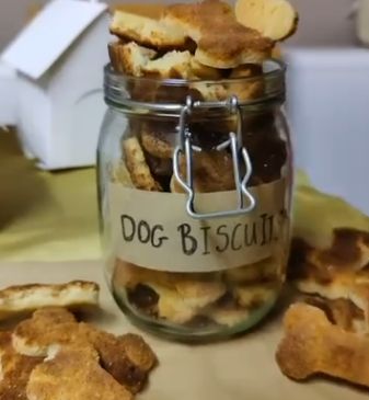 biscuiti pentru caini